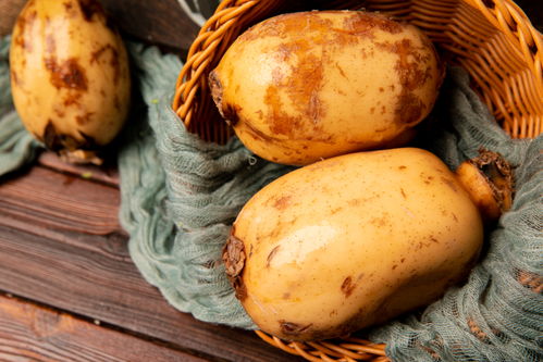 蓮藕 玉藕玲瓏，節日佳肴與苗木之美